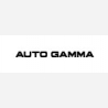 Auto Gamma